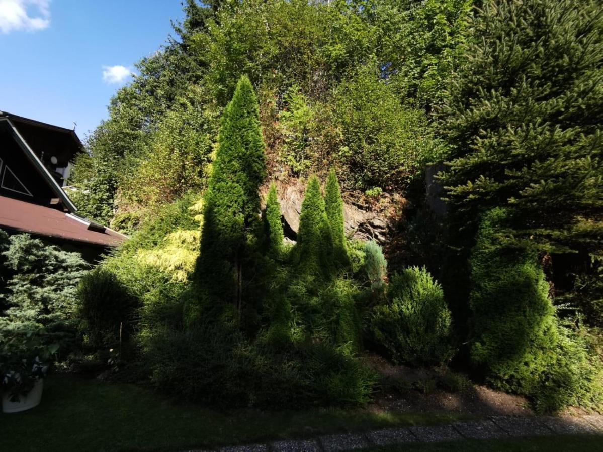 Апартаменты Haus Am Bach Кирхберг Экстерьер фото